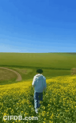 Person In Yellow Flowers With Blue Sky GIF