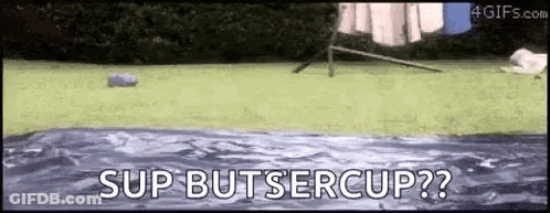 Person Jumping Into Pool Sup Butsercup GIF