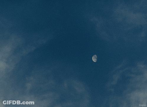 Person Jumping With Kepler GIF
