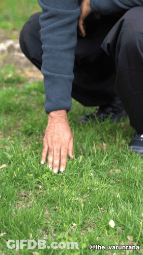 Person Kneeling On Grass @The Varunrana GIF
