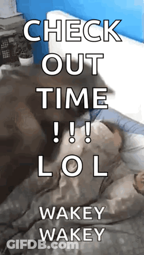 Person Laying In Bed With Check Out Time Lol Wakey Wakey GIF