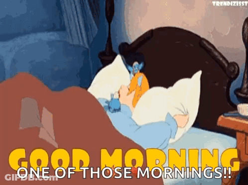 Person Laying In Bed With Pillow Saying Good Morning One Of Those Mornings GIF