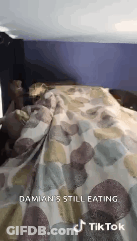 Person Laying On Bed With Blanket And Purple Wall GIF