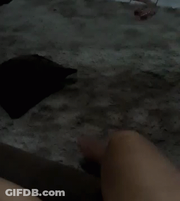 Person Laying On Bed With Feet Up GIF