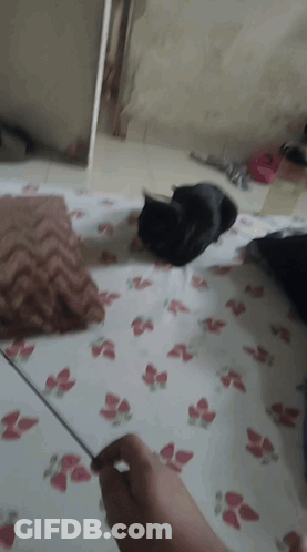 Person Laying On Bed With Floral Sheet GIF