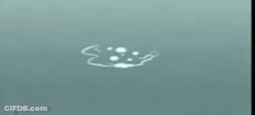 Person Laying On Bed With Large Belly GIF