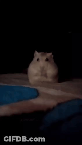 Person Laying On Bed With Star Saying It's Over GIF