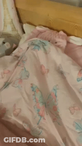 Person Laying On Bed With Stuffed Animal On Head GIF