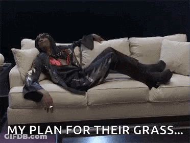 Person Laying On Couch Saying My Plan For Their Grass GIF
