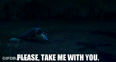 Person Laying On Ground Saying Please Take Me With You GIF