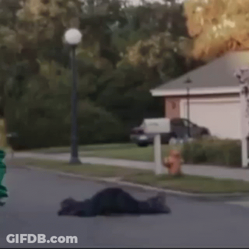 Person Laying On Side Of Road GIF