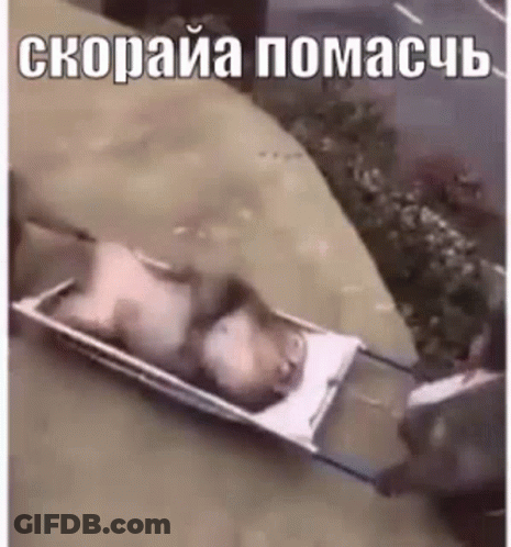 Person Laying On Stretcher With Foreign Language GIF