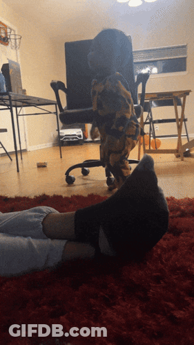 Person Laying With Feet Up And Dog Behind GIF