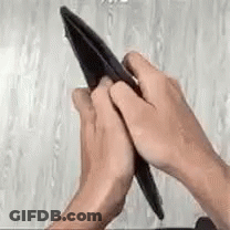 Person Looking At Empty Wallet GIF