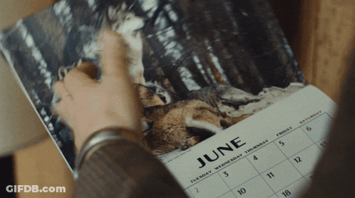 Person Looking At June Calendar GIF