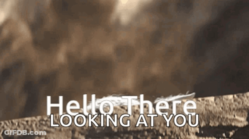Person Looking Out Window Are You In There GIF
