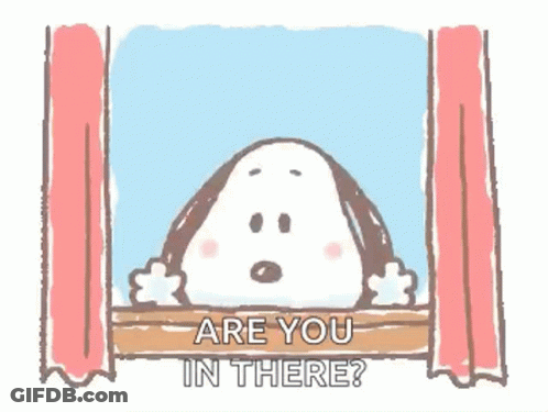 Person Looking Out Window Are You In There GIF