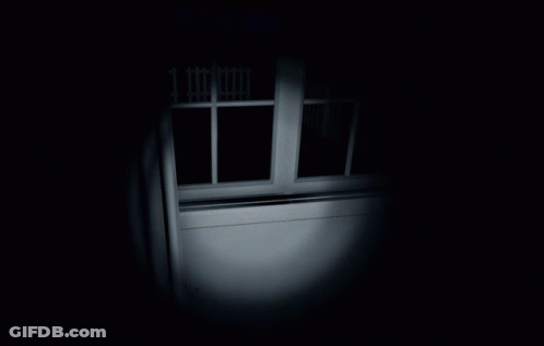 Person Looking Out Window With Fence GIF