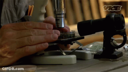 Person Looking Through Microscope With Vice Logo GIF
