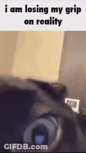 Person Losing Grip On Reality GIF