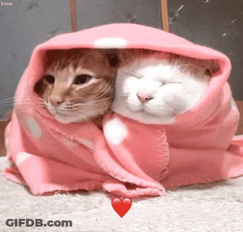 Person Lying In Living Room Legs Crossed GIF