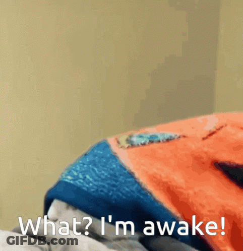 Person Lying On Bed Saying What I M Awake GIF