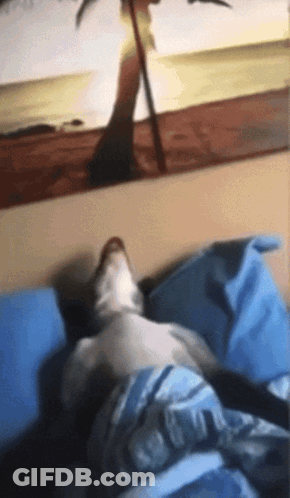 Person Lying On Bed With Beach Painting GIF