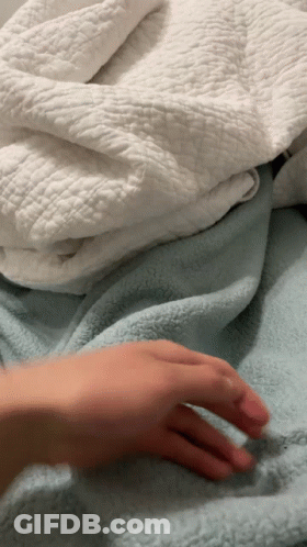 Person Lying On Bed With Blue And White Blankets GIF