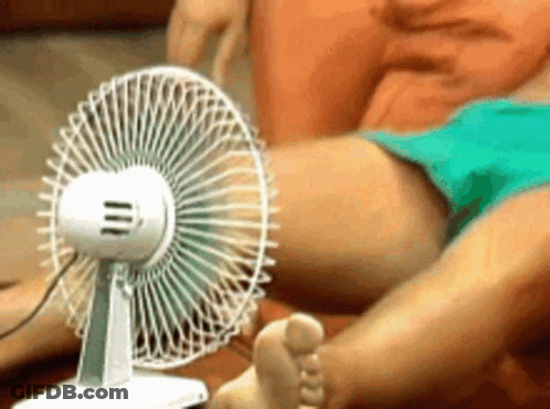 Person Lying On Couch With Feet Near Fan GIF