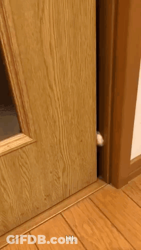 Person Making Face Open Mouth GIF