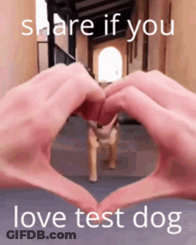 Person Making Heart Hands In Front Of Toy Dog GIF