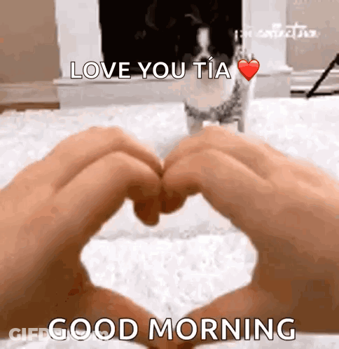 Person Making Heart Hands Love You Tia Good Morning GIF