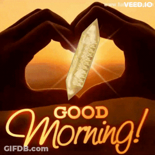 Person Making Heart Shape With Hands GIF