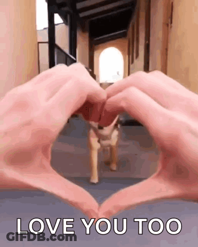 Person Making Heart Shape With Love You Too GIF