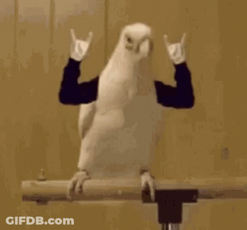 Person Making Horns Sign On Railing GIF
