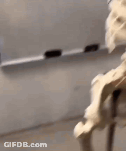 Person Making Whipped Cream In Kitchen GIF
