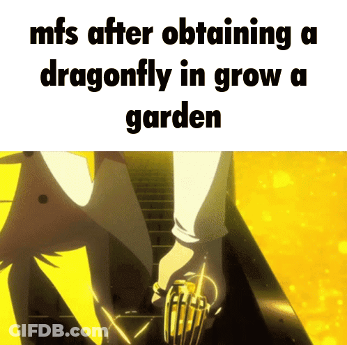 Person Obtaining Dragonfly In Garden GIF