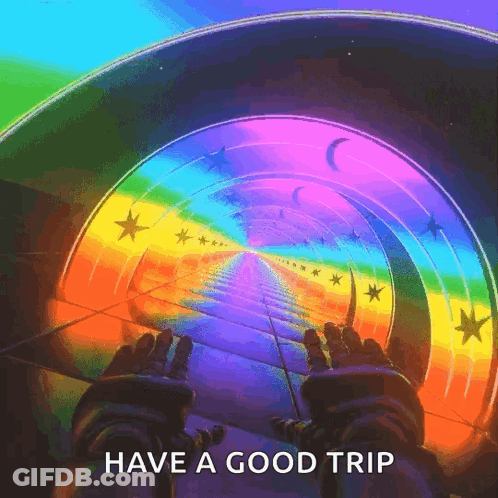 Person On Roller Coaster Saying Have A Good Trip GIF