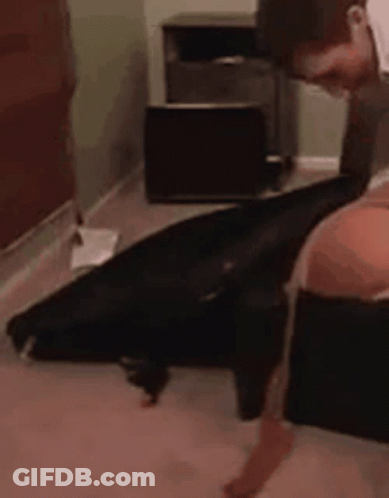Person Opening Suitcase In Bedroom GIF
