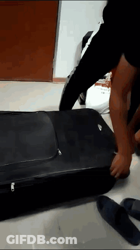 Person Packing Suitcase With Zipper GIF