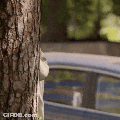 Person Peeking Behind Tree GIF