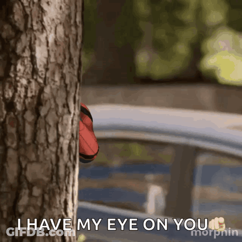 Person Peeking Behind Tree Saying I Have My Eye On You GIF