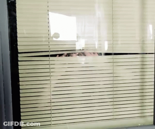 Person Peeking Through Window Blinds GIF