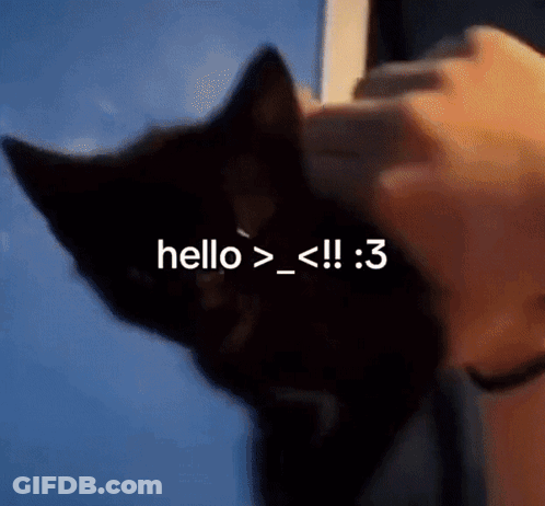 Person Petting Black Cat Saying Hello > _ < !! : 3 GIF