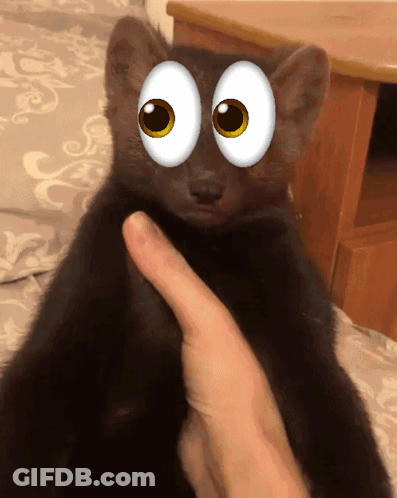 Person Petting Black Cat With Cartoon Eyes GIF