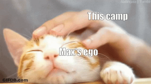 Person Petting Cat Saying This Camp Max's Ego GIF