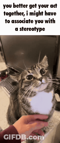 Person Petting Cat You Better Get Your Act Together GIF