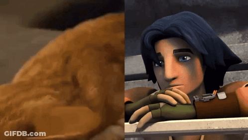 Person Petting Dog On Couch GIF