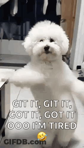 Person Petting Dog's Face GIF