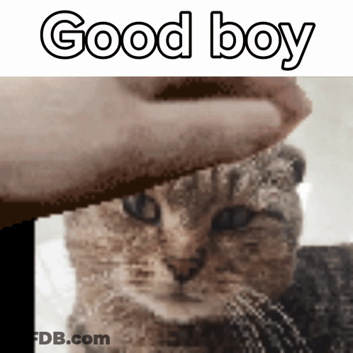 Person Petting Dog Saying Whos My Good Little Republican Good Boy GIF